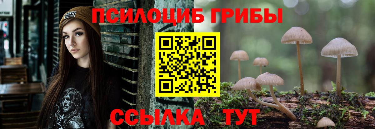 Кирово-Чепецк  Псилоцибиновые грибы Magic Shrooms  Вход с VPN 
